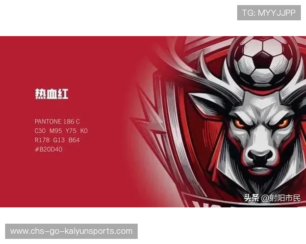 职业俱乐部的品牌形象升级